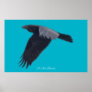 Search for corvids posters Avian