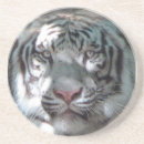 Search for big cats barware Animals