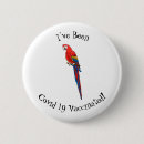 Search for macaws badges Bird
