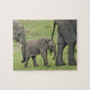 Search for african elephant puzzles Tanzania