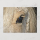 Search for curled postcards Curly
