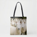 Search for herd accessories Lamb