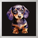 Search for dachshund posters Pet