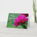 Search for deep pink cards Peony