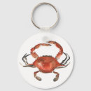 Search for shellfish key rings Coastal