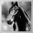 Search for apache posters Horses