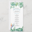 Search for itinerary Tropical