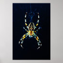 Search for weavers posters Arachnid