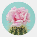 Search for blooming cactus stickers Flower