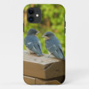 Search for swallow bird iphone cases Nature