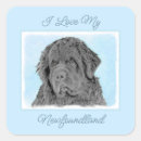 Search for newfoundland dog stickers Black