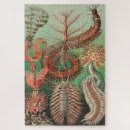 Search for worm puzzles Kunstformen der natur