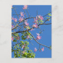 Search for blumen postcards Blau