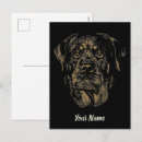 Search for rottweilers postcards Animal