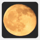 Search for orange glow stickers Nature