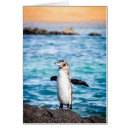 Search for bartolome Galapagos