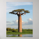 Search for madagascar art Morondava