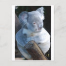 Search for love cats postcards Sweet