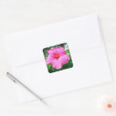 Search for pink hibiscus stickers Flower