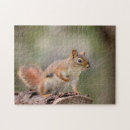 Search for red squirrel puzzles Animal