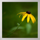 Search for stand out art Nature
