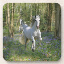 Search for fantasy coasters Flowers