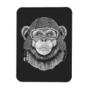 Search for chimpanzee magnets Funny