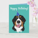 Search for bernese mountain dog birthday cards Berner