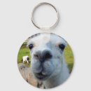 Search for goofy key rings Humour