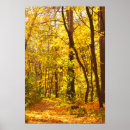 Search for deciduous posters Forest