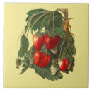 Search for strawberry tiles Backsplash
