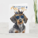 Search for funny dachshund birthday cards Dogs