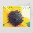 Search for savior postcards Photography