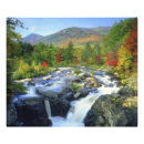 Search for rapid posters Sky