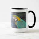 Search for rain forest mugs Parrots