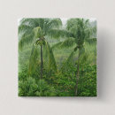 Search for rainforest badges Outdoors