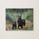 Search for brown bear puzzles Mammal