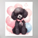 Search for black poodle posters Dog