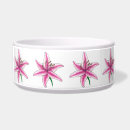 Search for lilli Flower