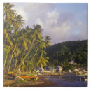 Search for caribbean tiles Coast