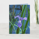 Search for blue iris birthday cards Purple