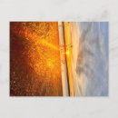 Search for breeze postcards Fall