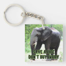 Search for tusk key rings Wildlife