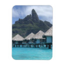 Search for need magnets Tropical
