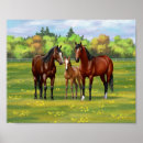 Search for pasture posters Farm animals