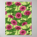 Search for pink zinnia posters Botanical
