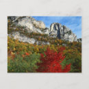 Search for large format cards Charles gurche