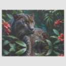 Search for melanistic Big cats