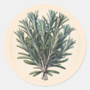 Search for vintage apothecary stickers Magic