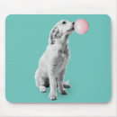 Search for retrievers electronics Puppy